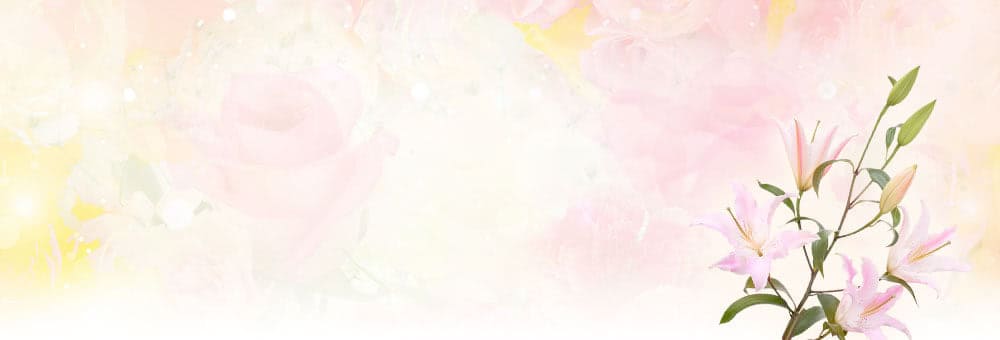 �A�i���r�߂��Ăق����������K�̌����r�߂Ă���鏗����T�����@